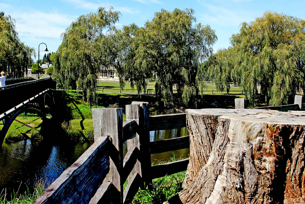 Sud Tasmania (1)