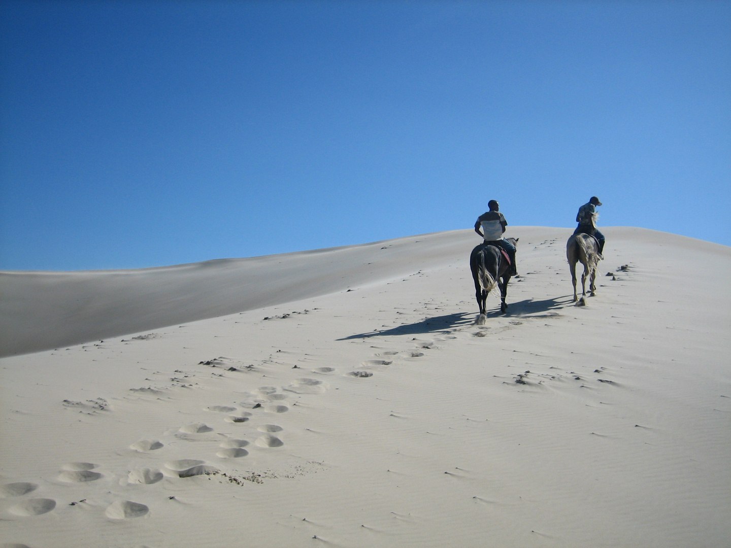 SUDAFRICA A CAVALLO