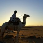 Sudan - camel trek