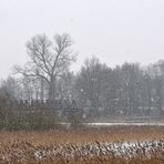 Sude - Brücke im Schneetreiben