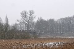 Sude - Brücke im Schneetreiben