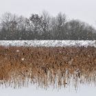 Sude - Deich im Schneetreiben