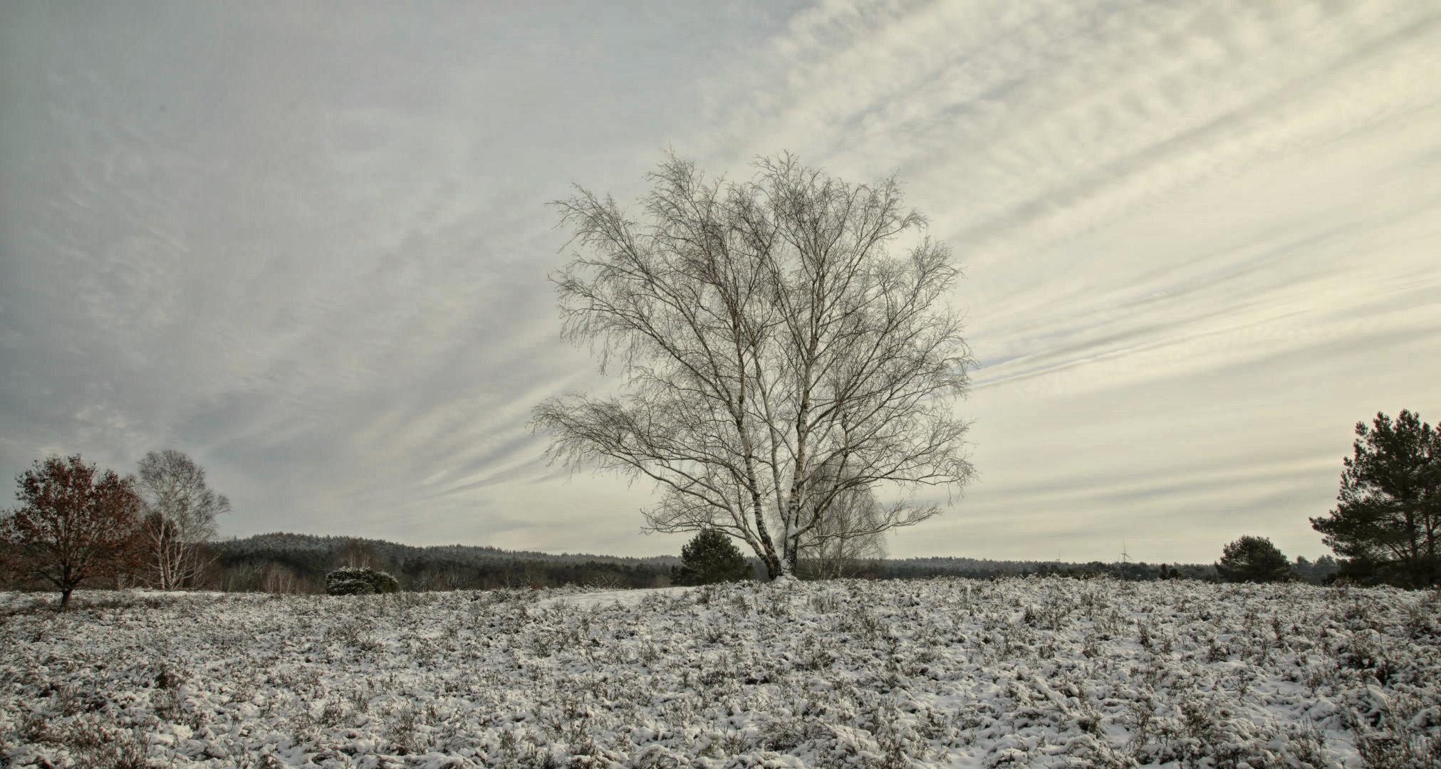 Sudermühlen im Schnee