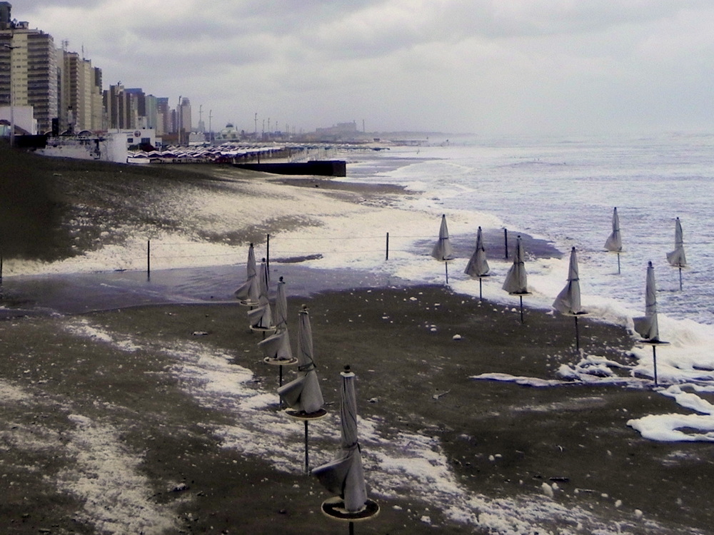 sudestada Imagen & Foto bodegones, violeta, naturaleza Fotos de