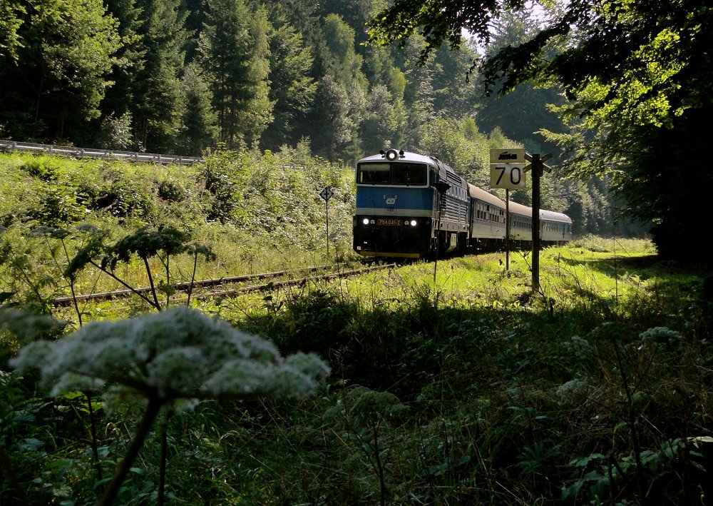 Sudety - Sommer 05 ... vor dem Viadukt