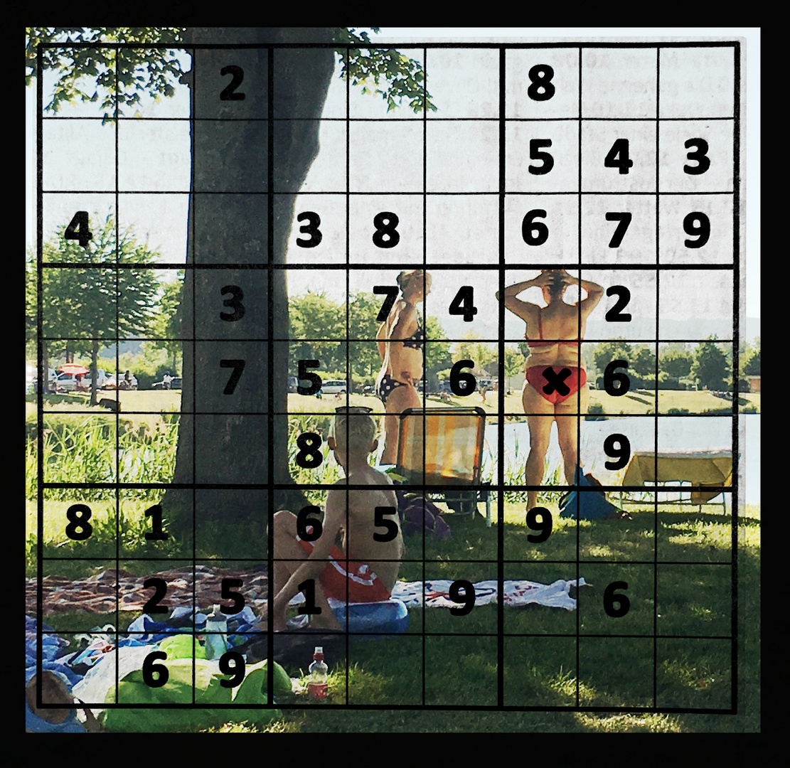 Sudoku - 1 mal 6 zu viel !