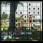 Sudoku - 1 mal 6 zu viel !