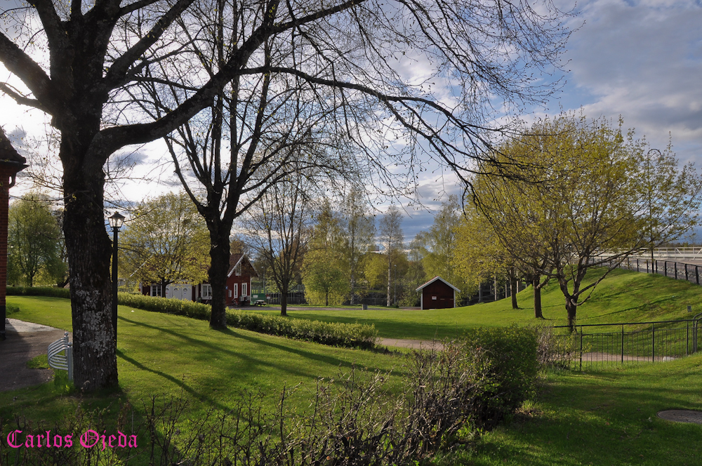 Suecia, Hagförs, Värmland