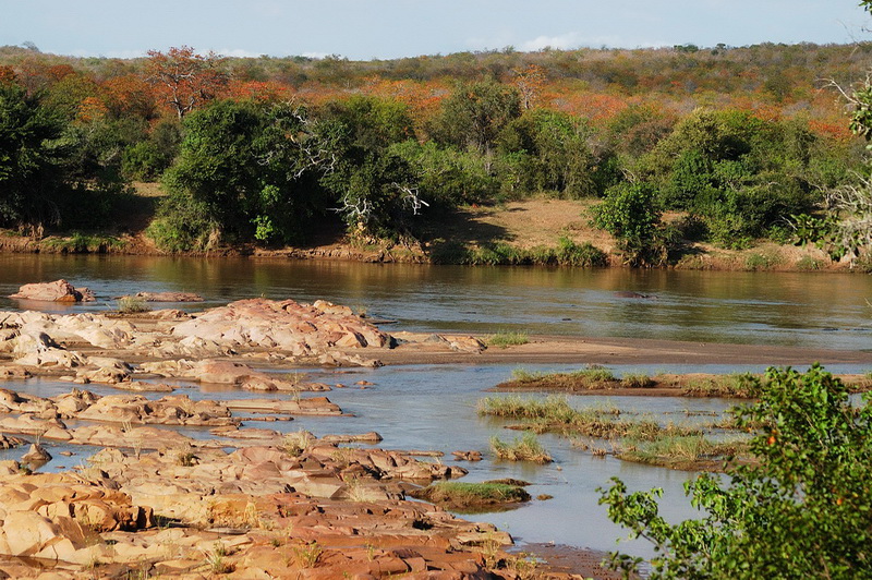 Süd Afrika 2008 - Kruger National Park