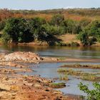 Süd Afrika 2008 - Kruger National Park