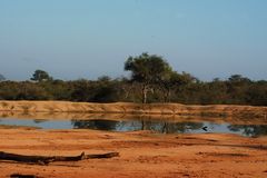 Süd Afrika 2008 - Timbavati Private Game Reserve