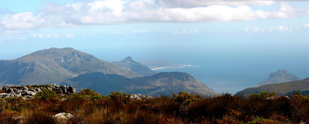 Süd-Afrika Impressionen - Auf dem Tafelberg II