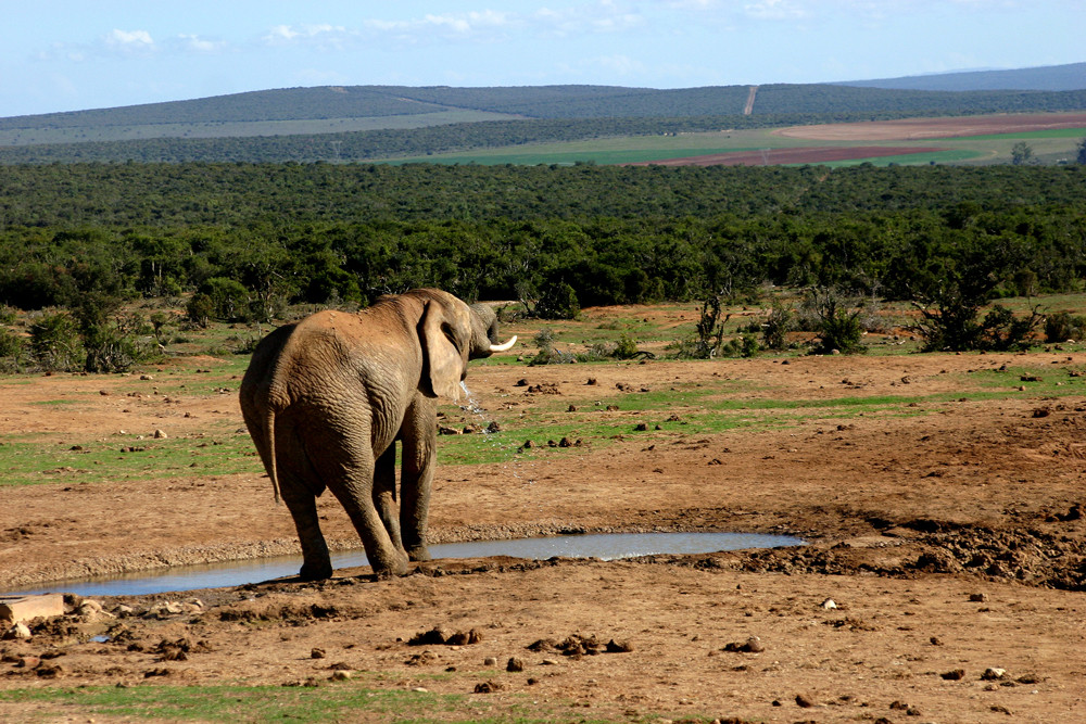 Süd-Afrika Impressionen - Einsam