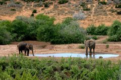 Süd-Afrika Impressionen - Groß und Klein