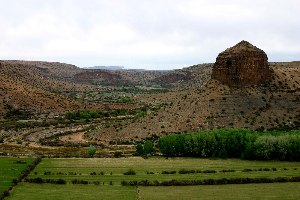 Süd-Afrika Impressionen - Owl Route