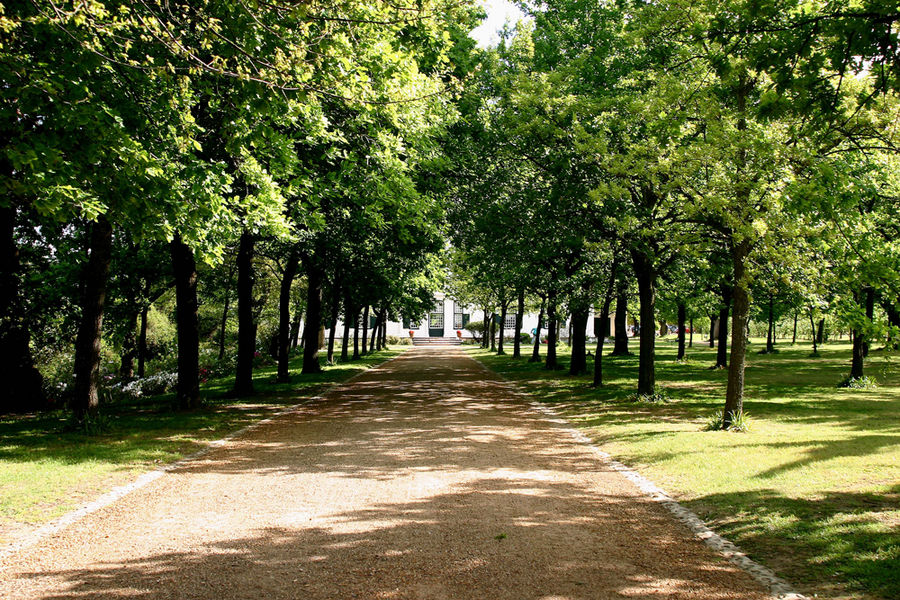 Süd-Afrika Impressionen - Weingut Boschendal