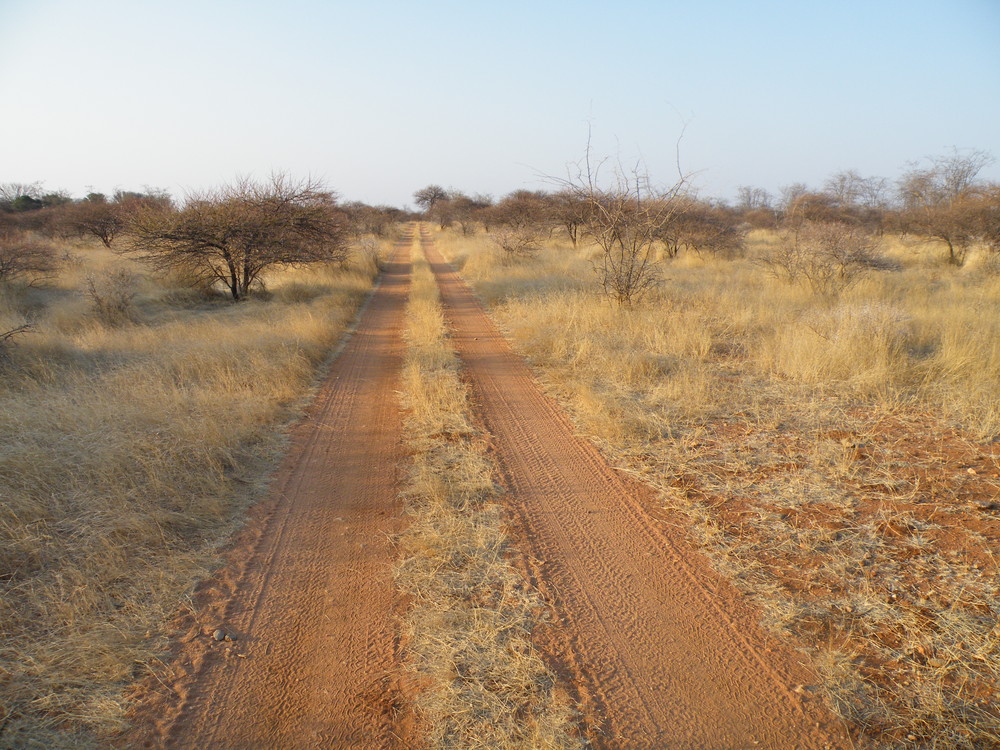 Süd Afrikanische Farm-Road