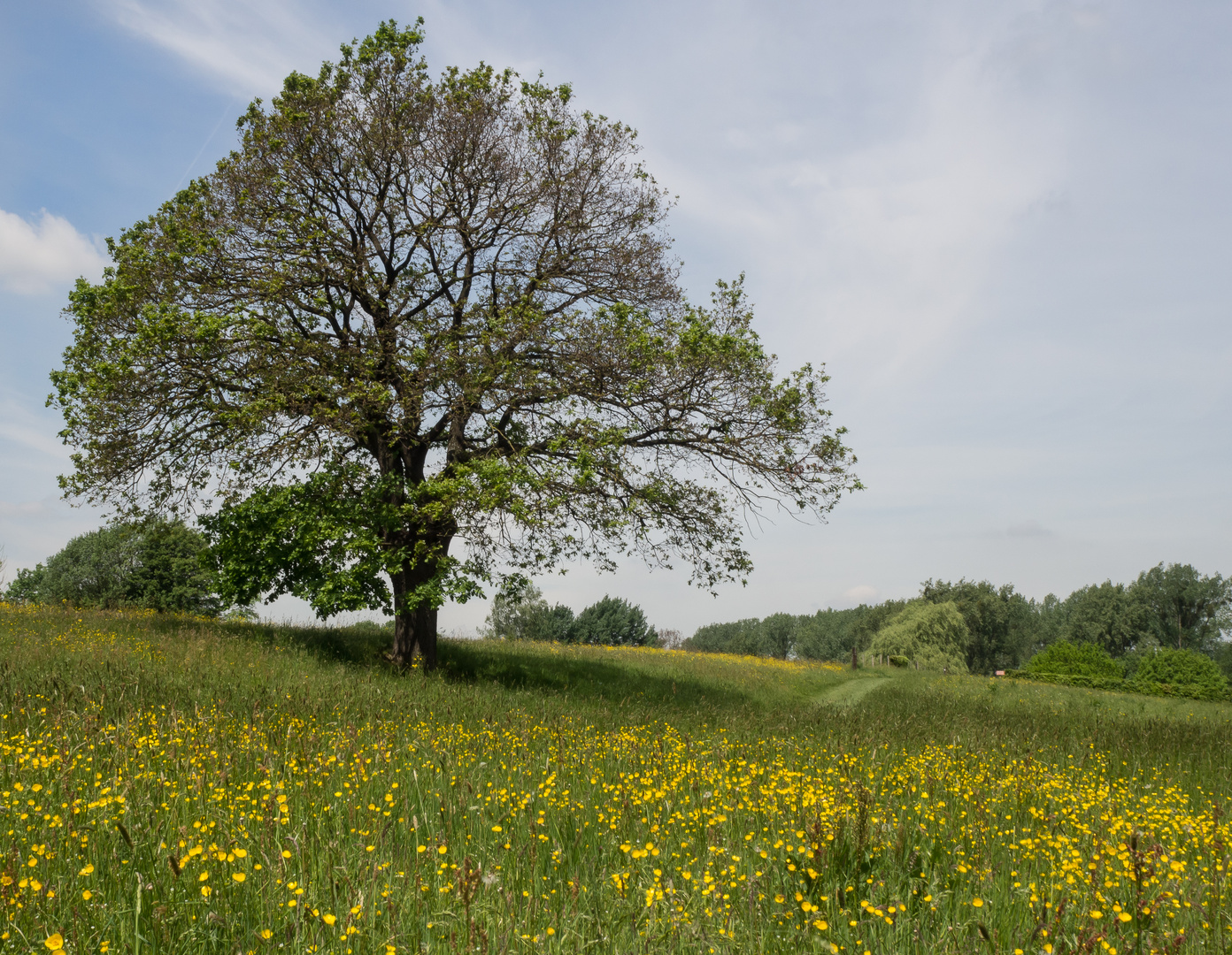 Süd Limburg, das unbekannte Teil der niederländische Landschaft