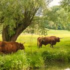 Süd Limburg, das unbekannte Teil der niederländische Landschaft