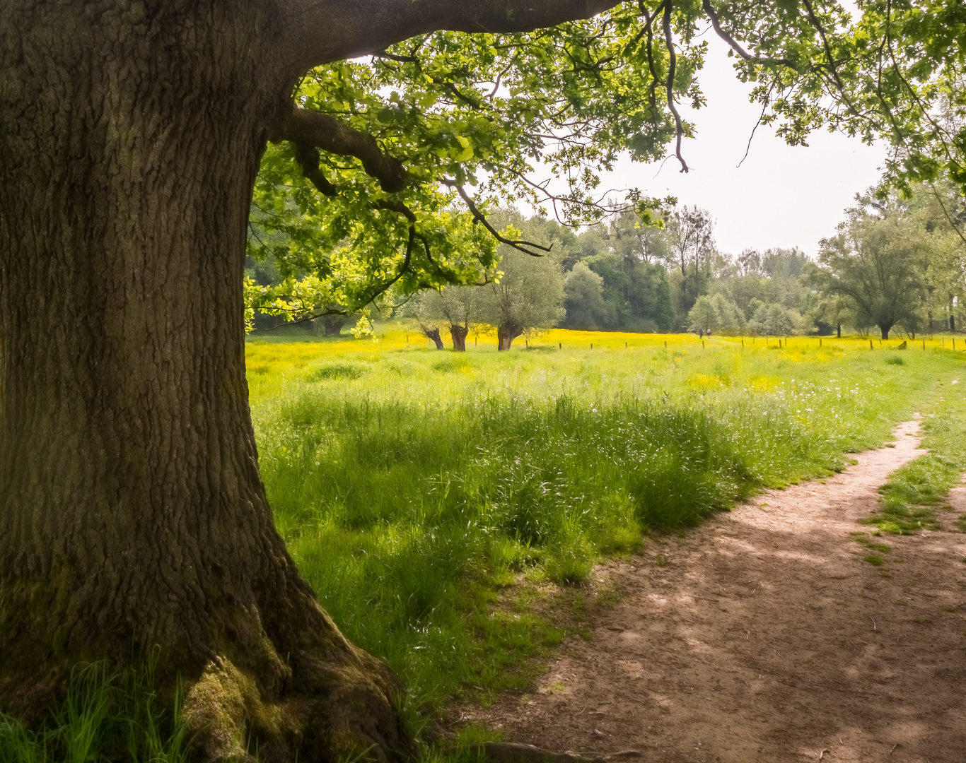 Süd Limburg, das unbekannte Teil der niederländische Landschaft