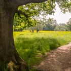 Süd Limburg, das unbekannte Teil der niederländische Landschaft