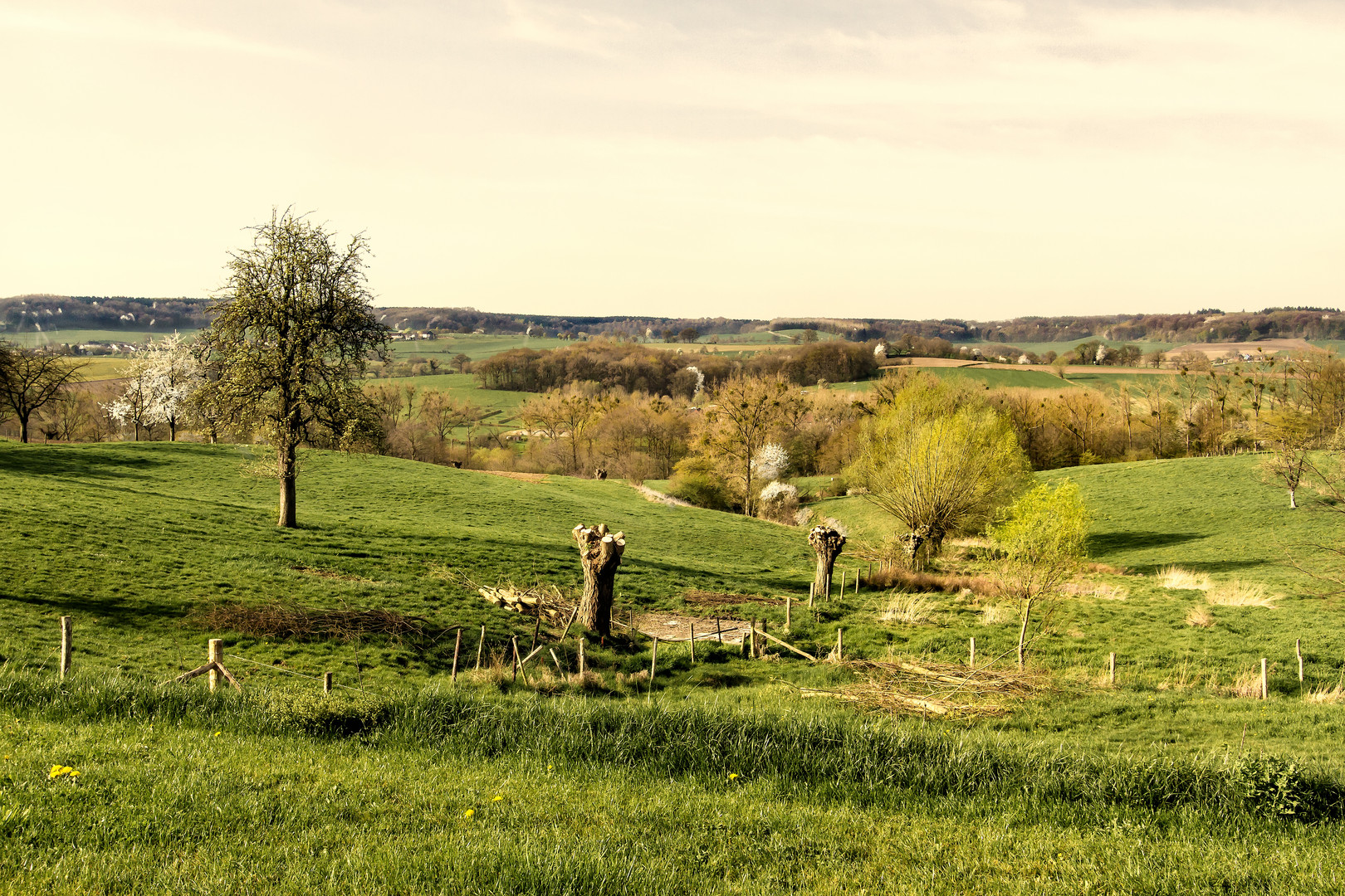 Süd Limburg, das unbekannte Teil der niederländische Landschaft