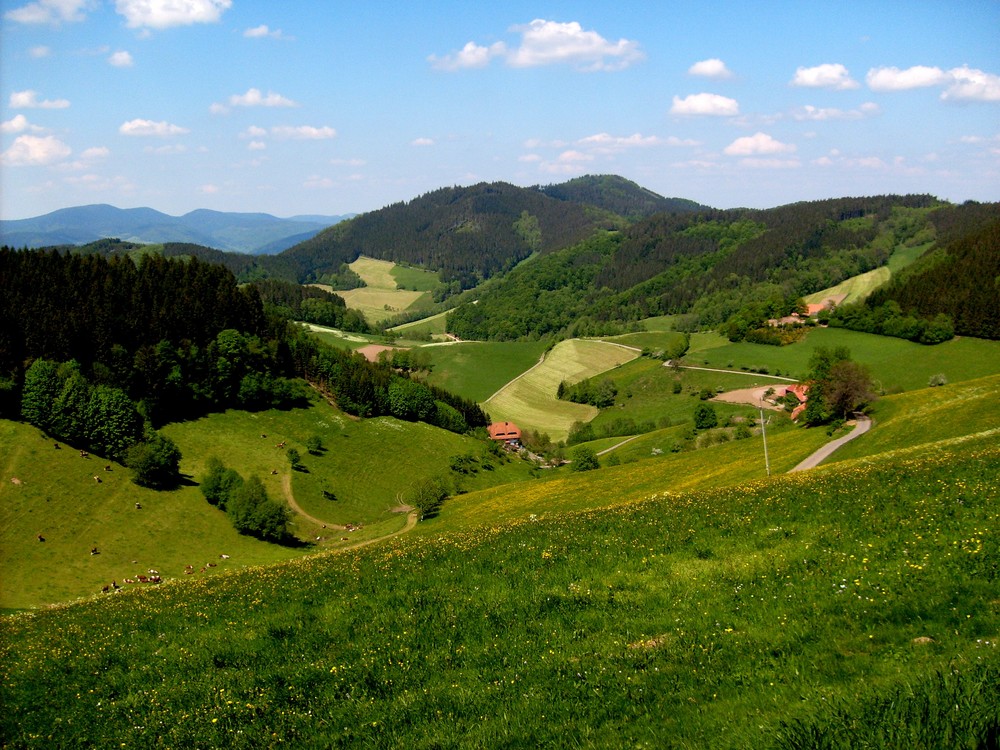 Süd-Schwarzwald_Berg= Landwasser