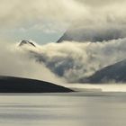 Süd Spitzbergen,Nationalpark VI.              DSC_7374