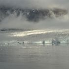 Süd Spitzbergen,Nationalpark VIII.               DSC_7378