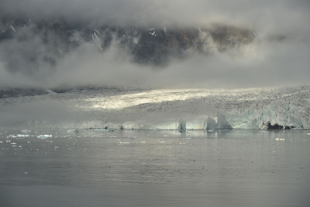 Süd Spitzbergen,Nationalpark VIII.               DSC_7378