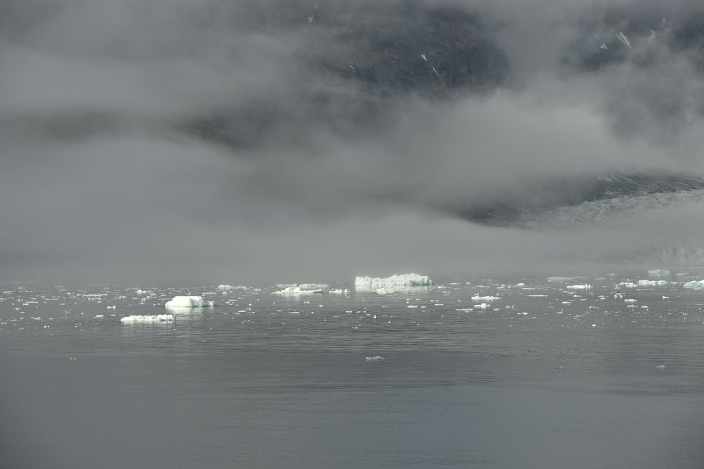 Süd Spitzbergen,Nationalpark.DSC_7379