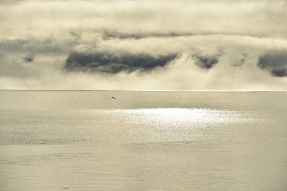Süd Spitzbergen,Nationalpark.IX .        DSC_7380
