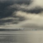 Süd Spitzbergen,Nationalpark.VI            DSC_7375