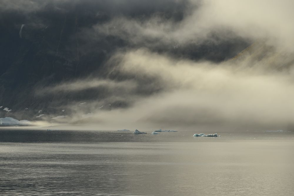 Süd Spitzbergen,Nationalpark.VI            DSC_7375