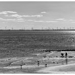 Süd-Strand-Besucher Wilhelmshaven SW