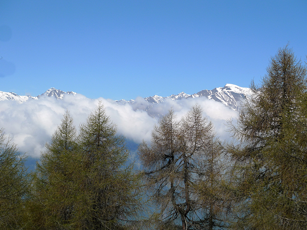 Süd-Tirol oberhalb von Meran