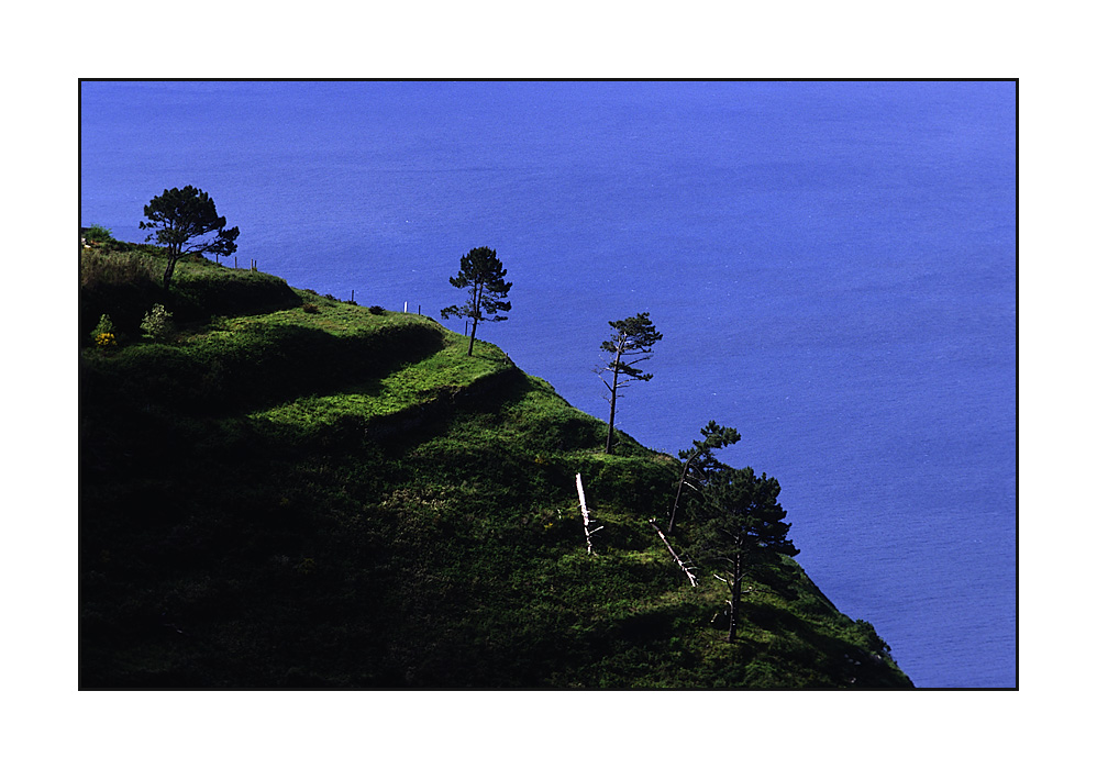 Süd-West Küste (Velvia10000035_07)