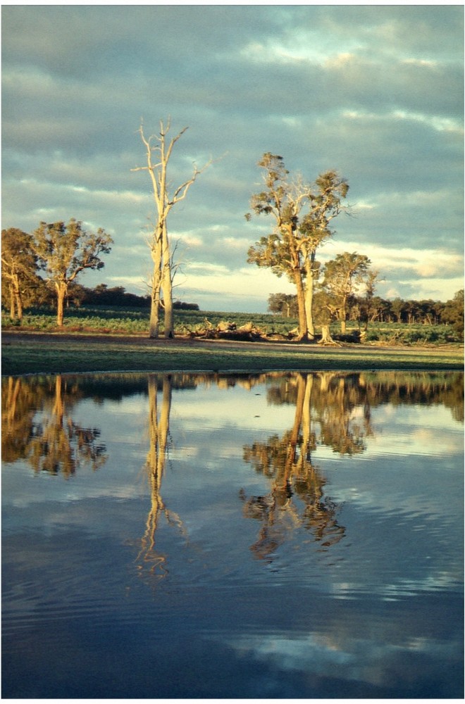 Süd-Westaustralien im Winter_02