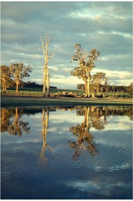 Süd-Westaustralien im Winter_02