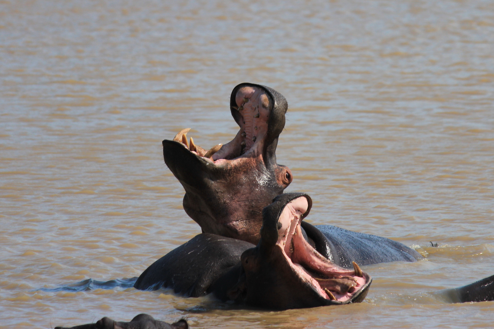 Südafrika 01248, St.Lucia, Hluhluwe River