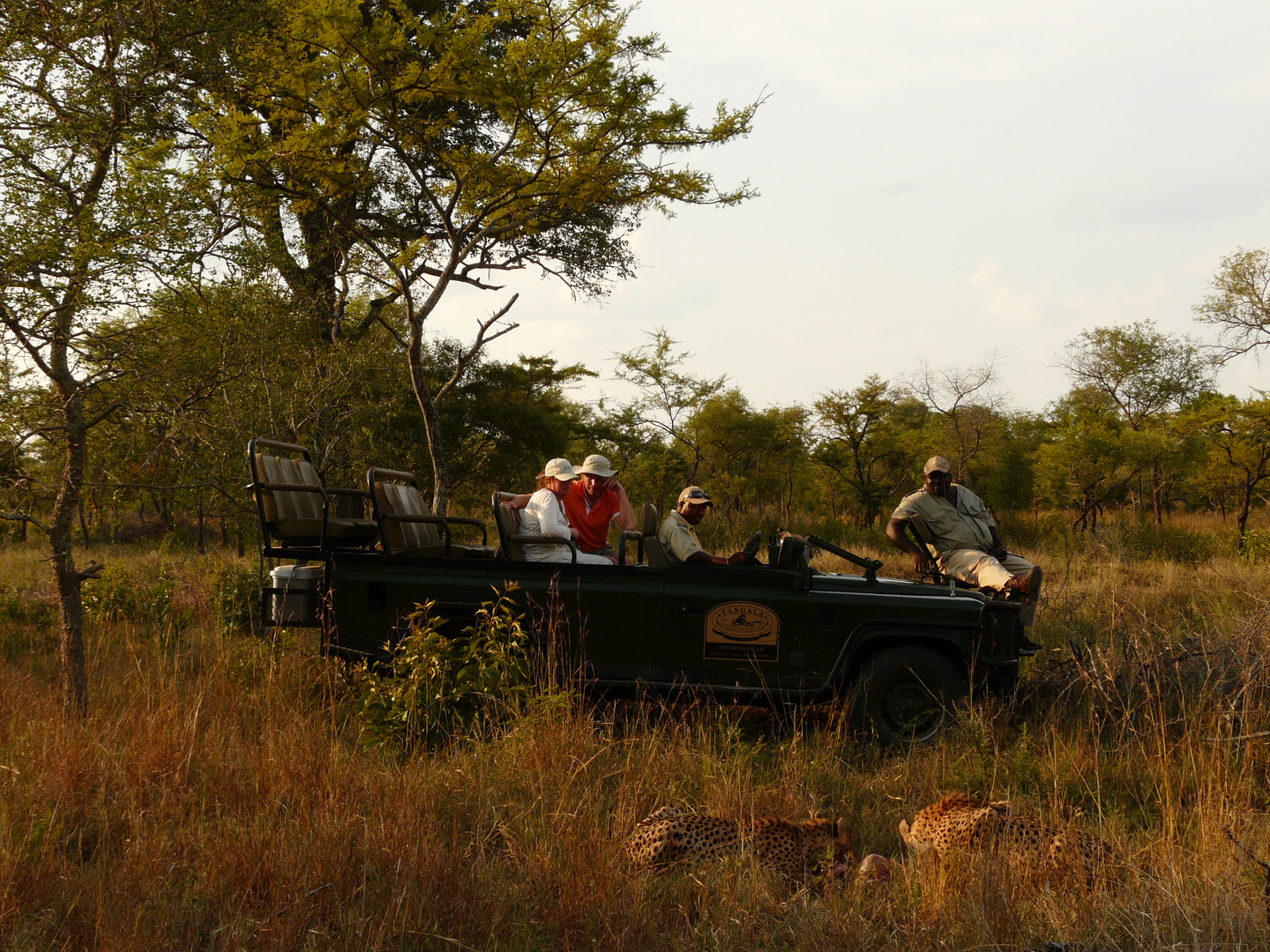 Südafrika 2010