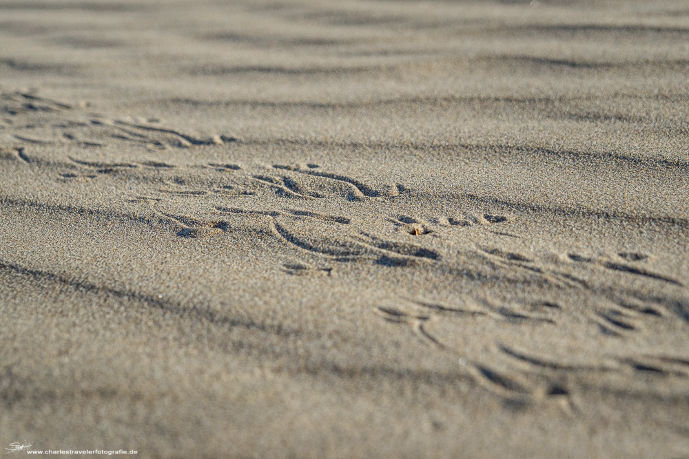 Südafrika [27] – Traces in the Sand