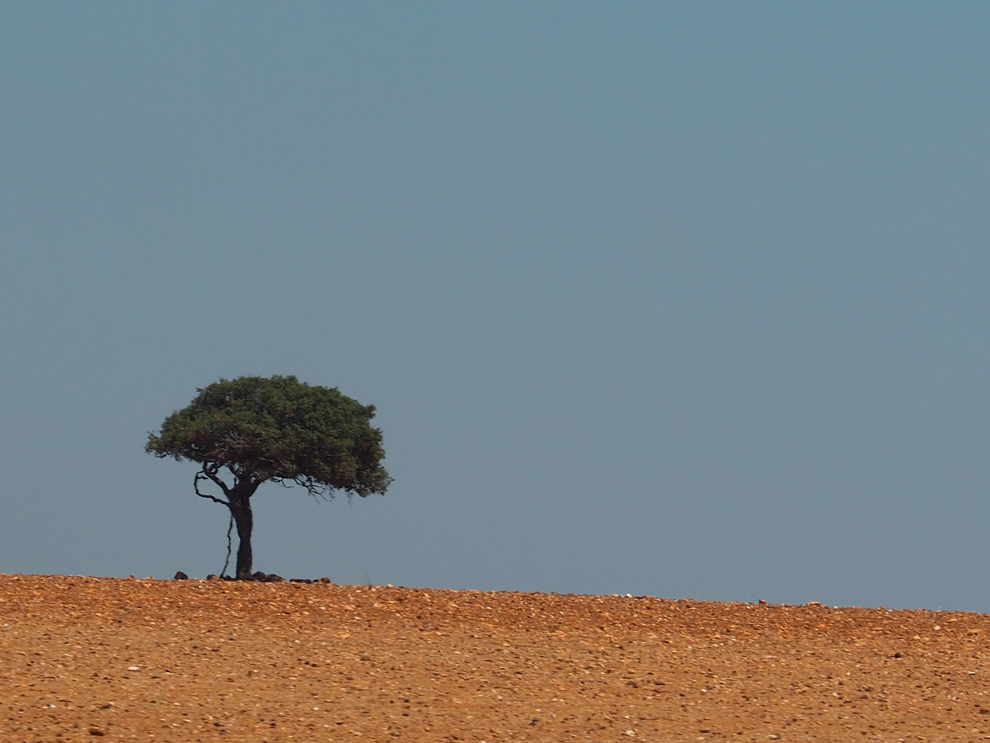 Südafrika Impressionen