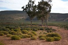 Südafrika - Kapstadt - kleine Karoo - Halbwüste 2