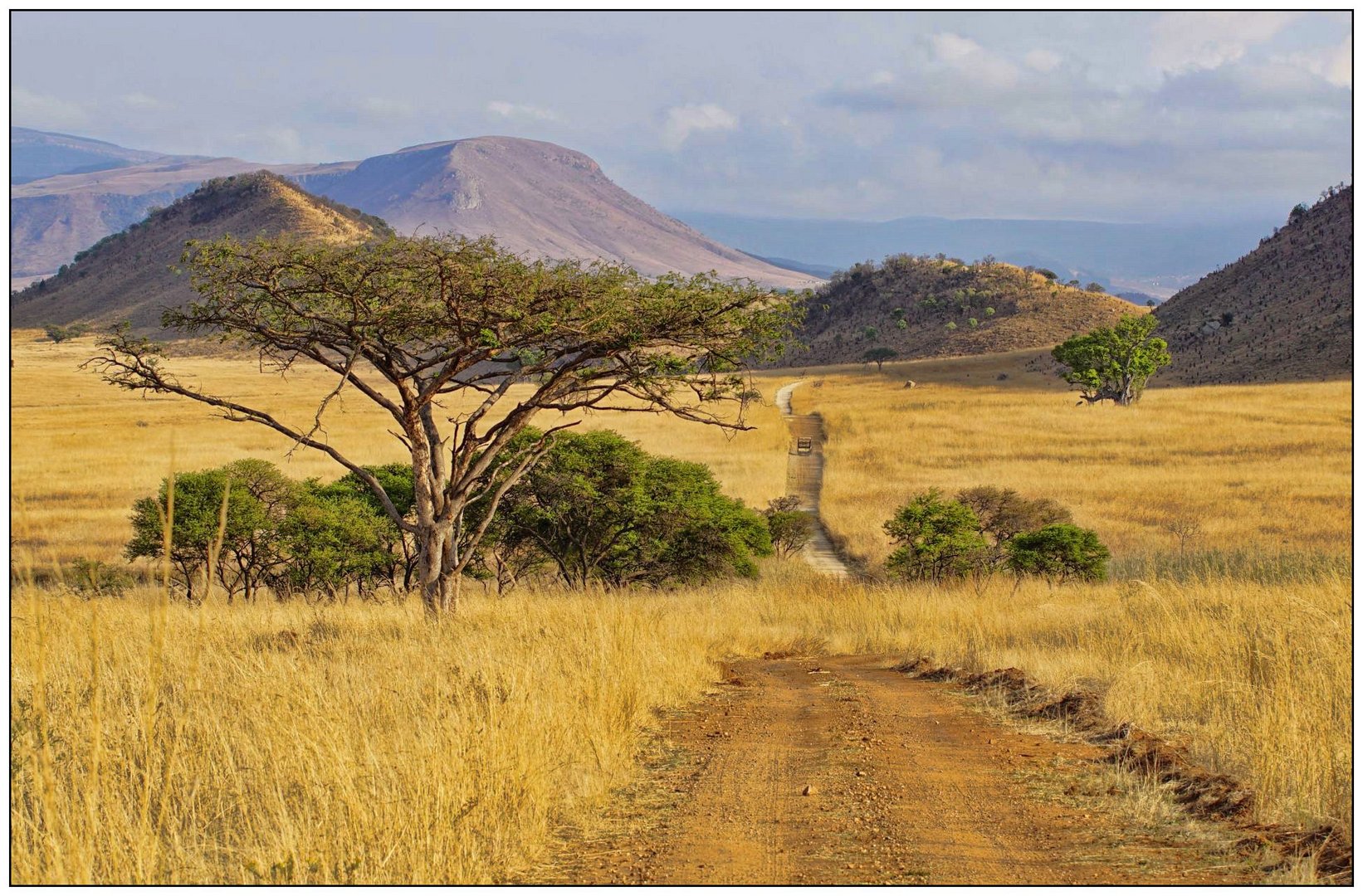 SÜDAFRIKA - Landschaft