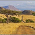 SÜDAFRIKA - Landschaft