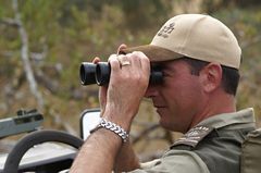 Südafrika – Wilde Tiere im Sabi Sand Reserve Impression 51