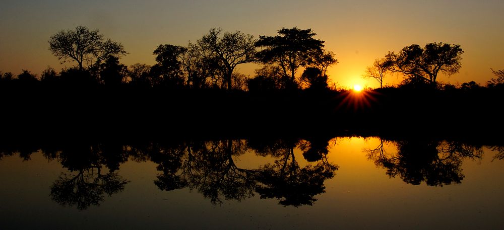 Südafrika – Wilde Tiere im Sabi Sand Reserve Impression 57