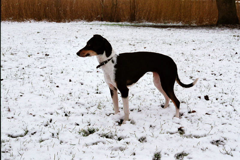 Südafrikanerin im Neuschnee