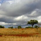 Südafrikas Natur